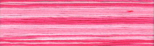 Cosmo Seasons Variegated Embroidery Floss 80 8011 for embroidery, stitching and decorative needlework