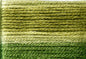 Cosmo Seasons Variegated Embroidery Floss 80 8016 for embroidery, stitching and decorative needlework