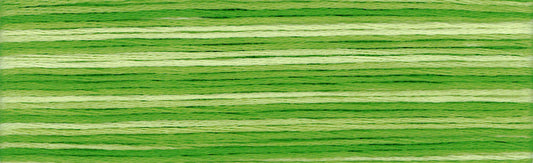 Cosmo Seasons Variegated Embroidery Floss 80 8021 for embroidery, stitching and decorative needlework