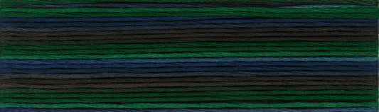 Cosmo Seasons Variegated Embroidery Floss 80 8025 for embroidery, stitching and decorative needlework