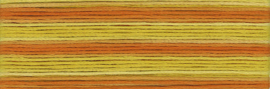 Cosmo Seasons Variegated Embroidery Floss 80 8033 for embroidery, stitching and decorative needlework