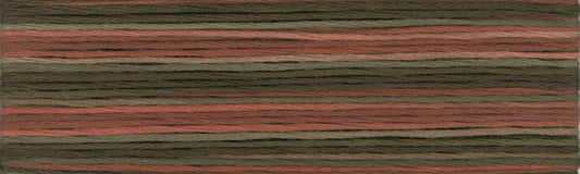 Cosmo Seasons Variegated Embroidery Floss 80 8041 for embroidery, stitching and decorative needlework