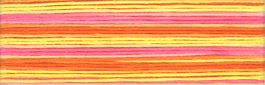 Cosmo Seasons Variegated Embroidery Floss 80 8046 for embroidery, stitching and decorative needlework