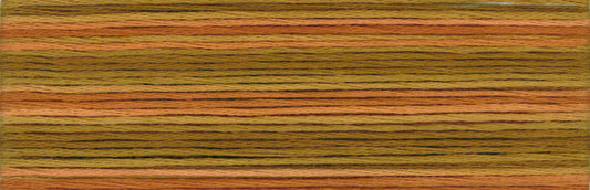 Cosmo Seasons Variegated Embroidery Floss 80 8048 for embroidery, stitching and decorative needlework