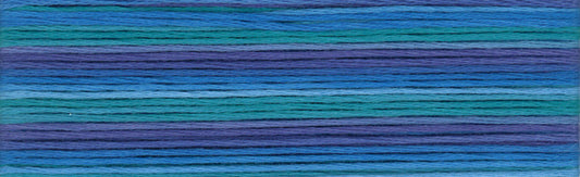 Cosmo Seasons Variegated Embroidery Floss 80 8056 for embroidery, stitching and decorative needlework