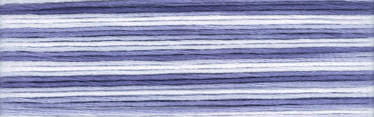 Cosmo Seasons Variegated Embroidery Floss 80 8058 for embroidery, stitching and decorative needlework