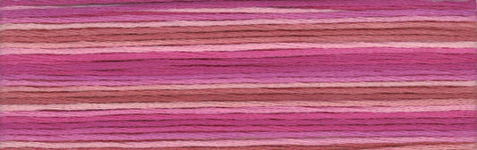 Cosmo Seasons Variegated Embroidery Floss 80 8061 for embroidery, stitching and decorative needlework