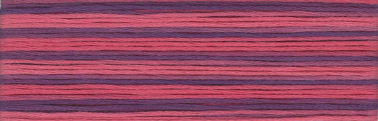 Cosmo Seasons Variegated Embroidery Floss 80 8062 for embroidery, stitching and decorative needlework