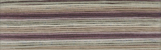 Cosmo Seasons Variegated Embroidery Floss 80 8065 for embroidery, stitching and decorative needlework