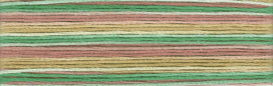 Cosmo Seasons Variegated Embroidery Floss 80 8073 for embroidery, stitching and decorative needlework