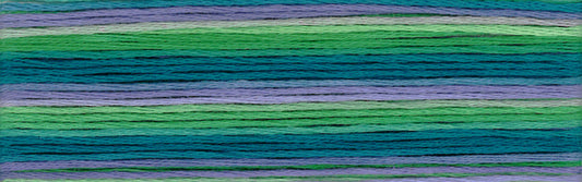 Cosmo Seasons Variegated Embroidery Floss 80 8079 for embroidery, stitching and decorative needlework