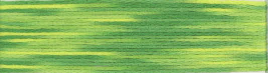 Cosmo Seasons Variegated Embroidery Floss 80 9005 for embroidery, stitching and decorative needlework