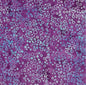 Ocean Mandala - 1627 sewing and quilting product