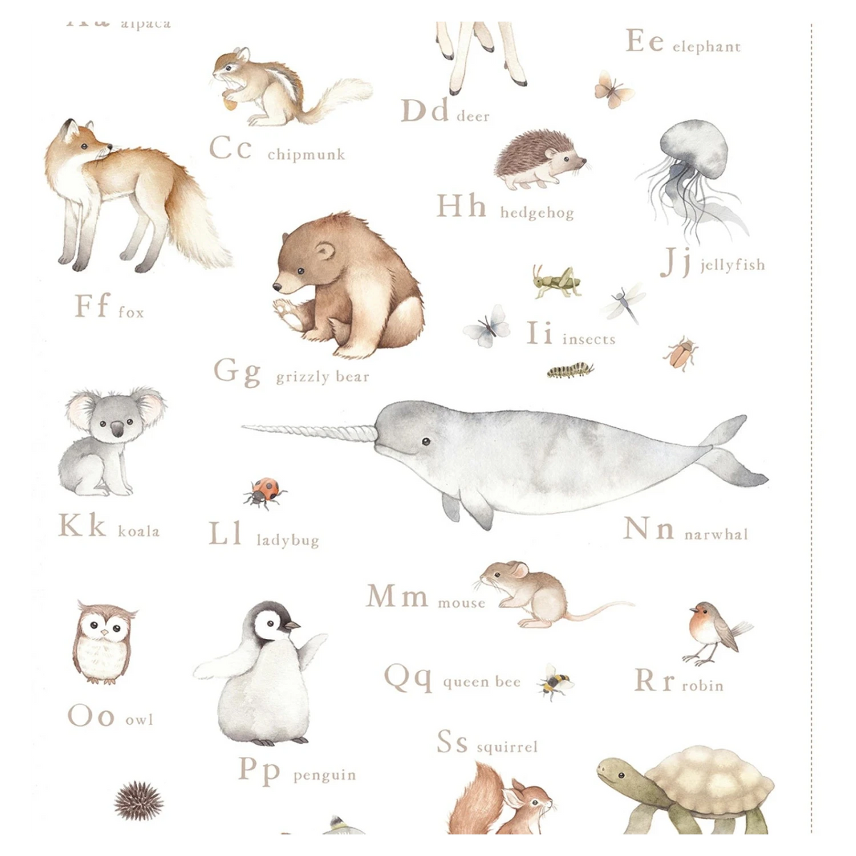 ABCs of Love - My Animal Alphabet Panel 24 in