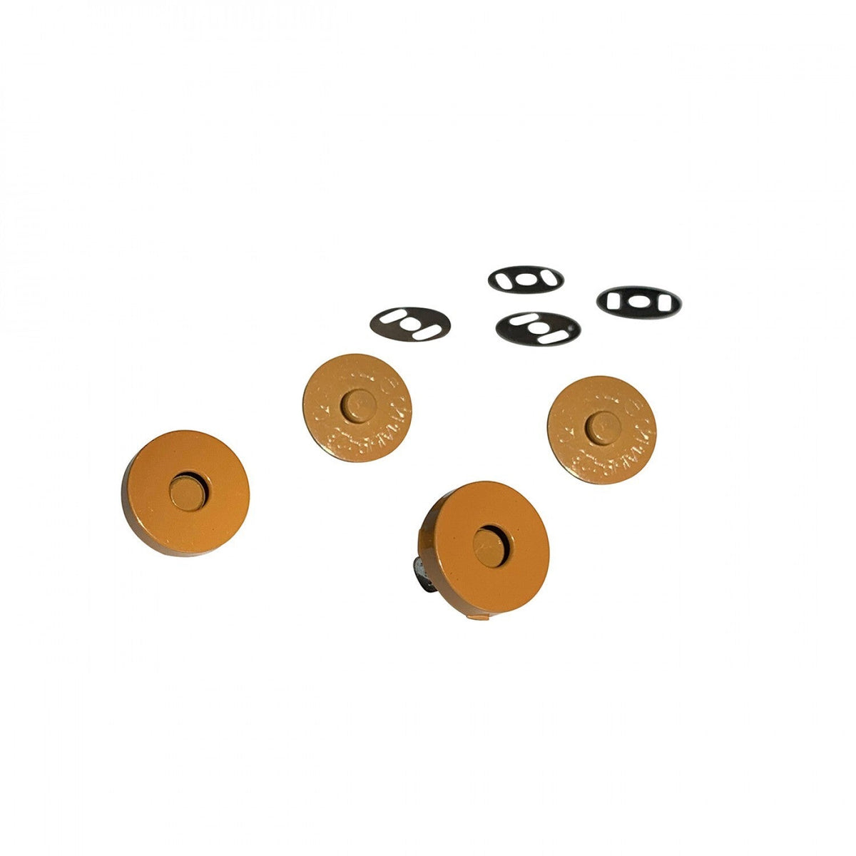 Sassafras Lane Magnetic Snaps - Mustard