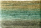 Cosmo Seasons Variegated Embroidery Floss 80 8049