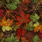 Autumn Bouquet - Leaves - Everything Fabric