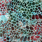 Batik COLOURS OF AUSTRALIA - 1919 - Everything Fabric