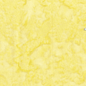 Batik Premium Tonals - Butter - Everything Fabric
