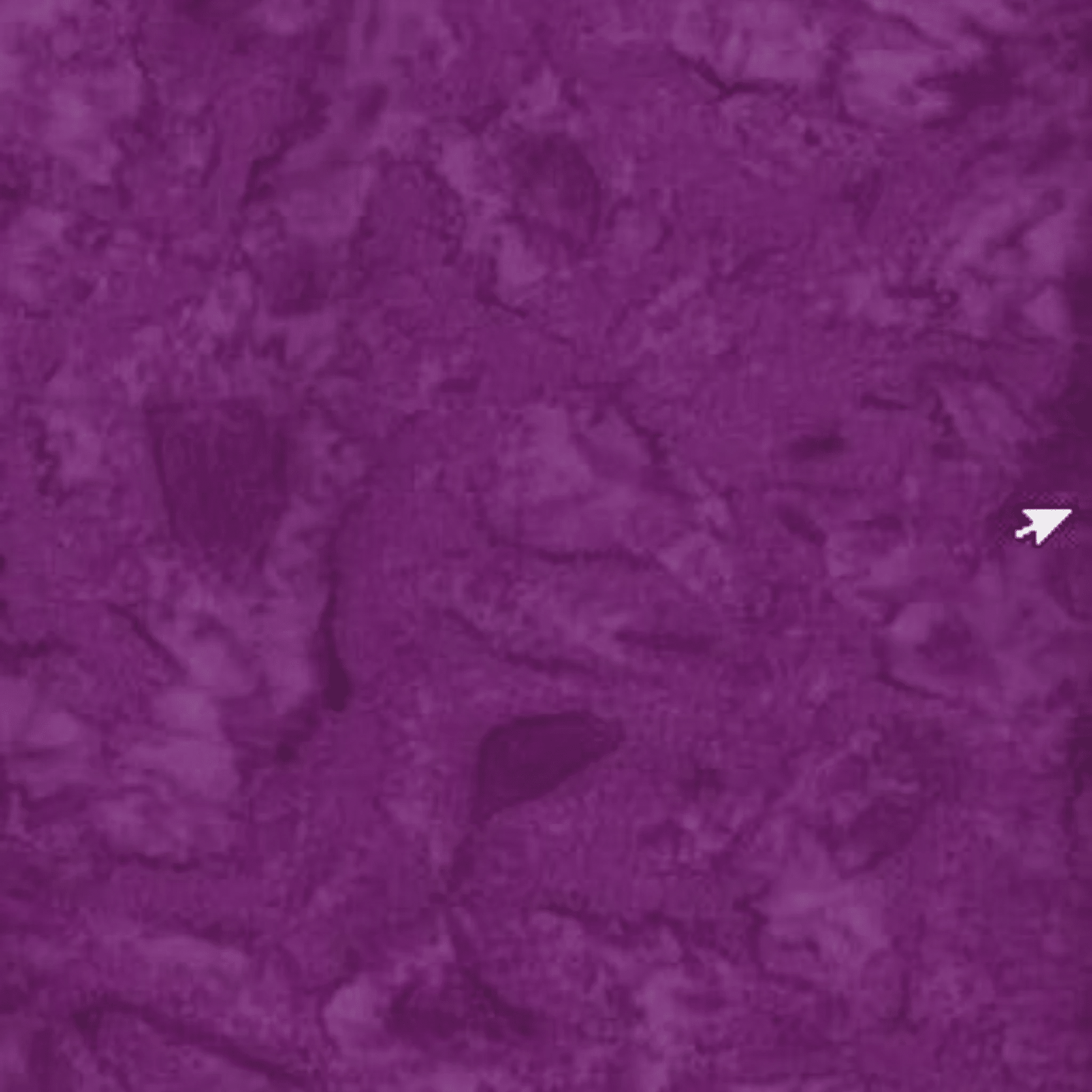 Batik Premium Tonals - Wine - Everything Fabric