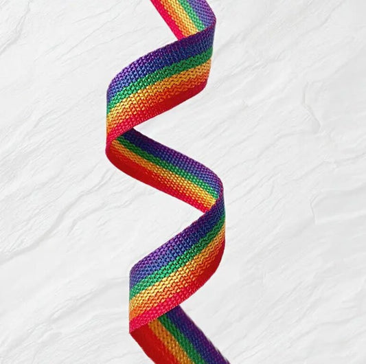 Belting 25 mm w - Rainbow 4yd roll - Everything Fabric