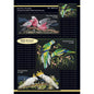 Birds on Black Cross Stitch Patterns - Everything Fabric