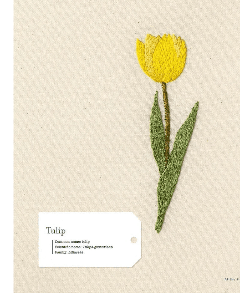 Embroidering Plants and Flowers for Beginners Book - Everything Fabric