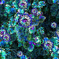 Glorious Gum Blossoms - Gum Blossom Teal - Everything Fabric