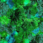 Glorious Gum Blossoms - Stylised Blossoms Green - Everything Fabric