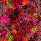 Glorious Gum Blossoms - Stylised Blossoms Pink - Everything Fabric