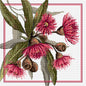 Gum Blossoms Cross Stitch Pattern by Country Threads