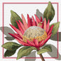 King Protea Cross Stitch Pattern by Country Threads