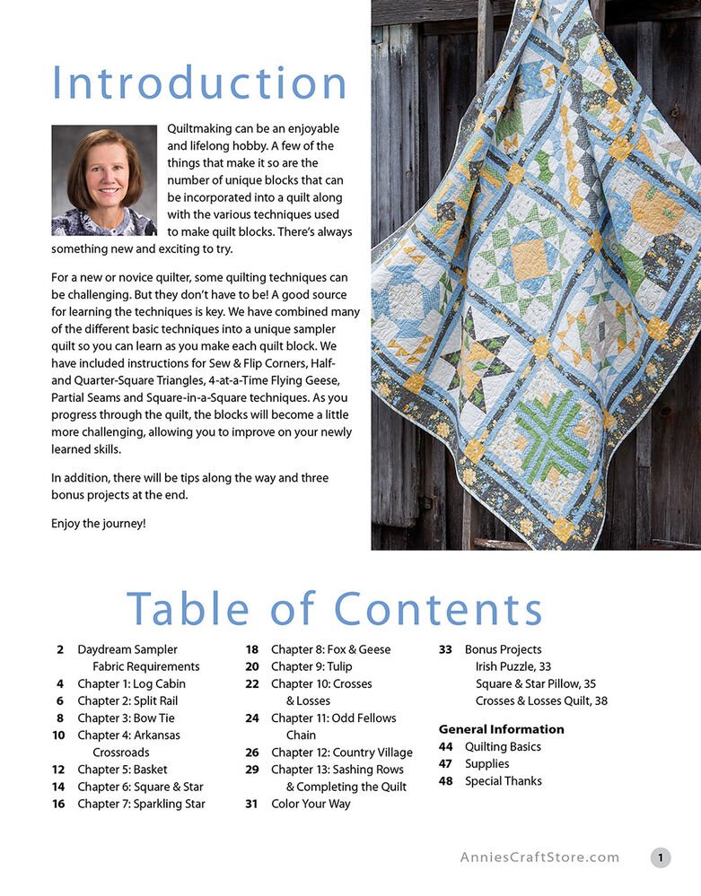 Learn As You Go Stitch the Daydream Sampler and Master Your Quilting Skills Book - Everything Fabric