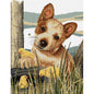 Little Red (Cattle Dog) Cross Stitch Pattern - Everything Fabric