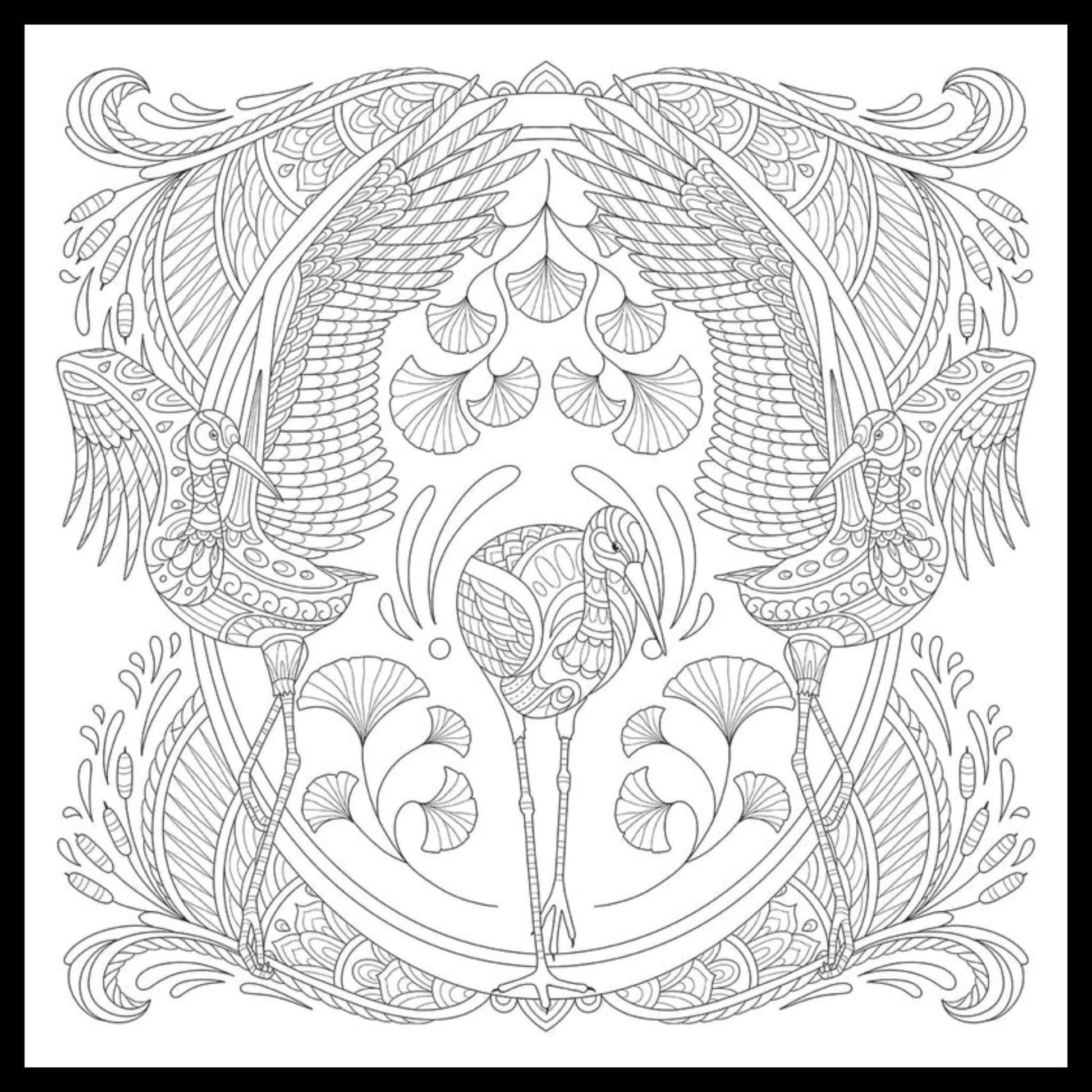 My Bird Mandala Coloring Book - Everything Fabric