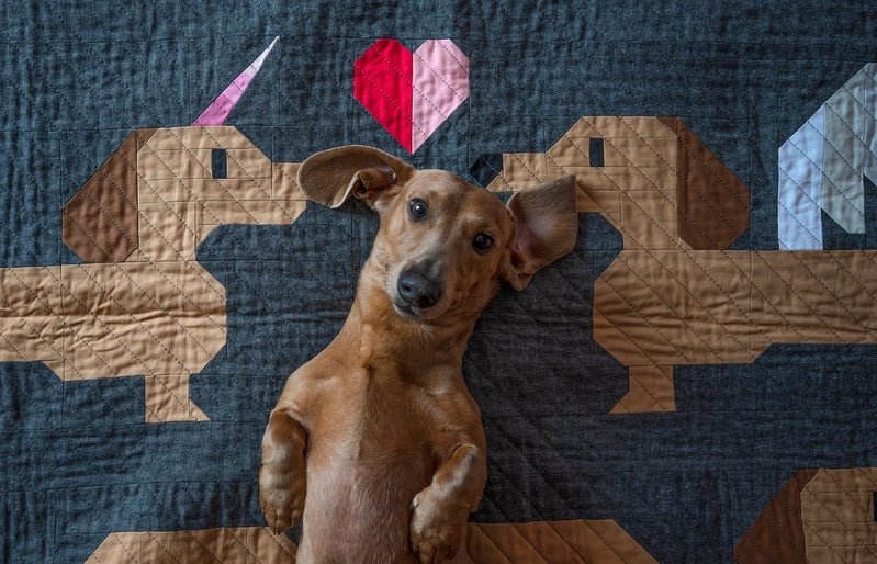 Mythical Wieners Quilt Pattern - Everything Fabric
