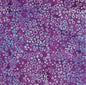 Ocean Mandala - 1627 - Everything Fabric