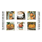 Pumpkin Patch – Large Pumpkin Patch Panel Clearance - Everything Fabric