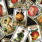 Pumpkin Patch - Seed Packs Toss Black - Everything Fabric