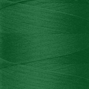 Rasant Thread 0247 - Green - Everything Fabric