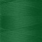 Rasant Thread 0247 - Green - Everything Fabric