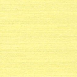Rasant Thread X0141 - Lt Yellow - Everything Fabric