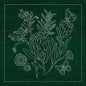 Sashiko Australia Native Flowers 1 - Green - Everything Fabric