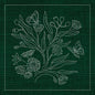 Sashiko Australia Native Flowers 3 - GREEN - Everything Fabric