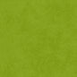 Shadow Play Tonal Blend Asparagus - Everything Fabric