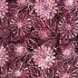 Tonga Batik - Large Cherry Dahlias - Everything Fabric