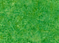 Tropical Dream - 1703 - Everything Fabric